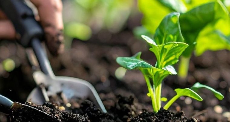 Les 72h de l'écologie avec la Cité des Transitions