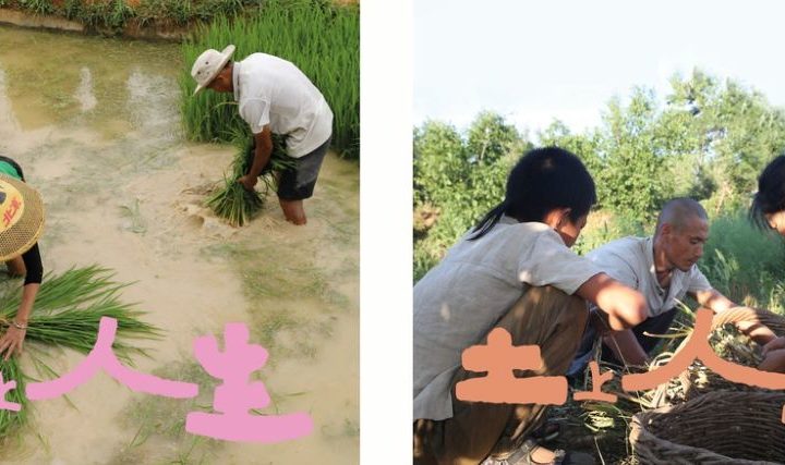 Ciné discussion sur la paysannerie chinoise