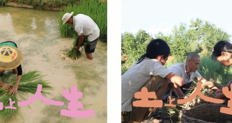 Ciné discussion sur la paysannerie chinoise